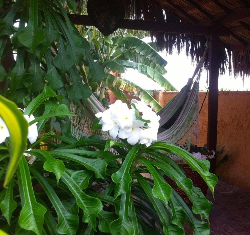 Casa Do Jardim Bed and Breakfast Canoa Quebrada Εξωτερικό φωτογραφία