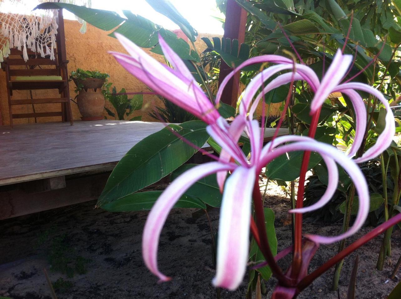 Casa Do Jardim Bed and Breakfast Canoa Quebrada Εξωτερικό φωτογραφία